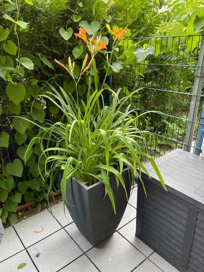 Sonnige Wohnung Im Zentrum Mit Terrasse U Tiefgarage - Netflix & Prime Leipzig Ngoại thất bức ảnh